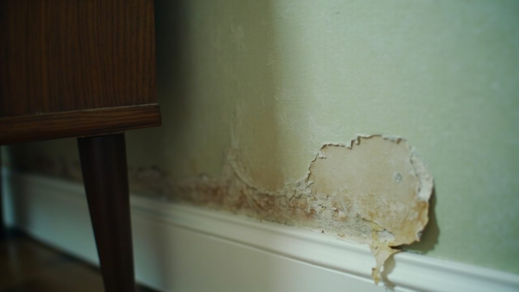 Signs of Hidden Mold in Raleigh NC 27601